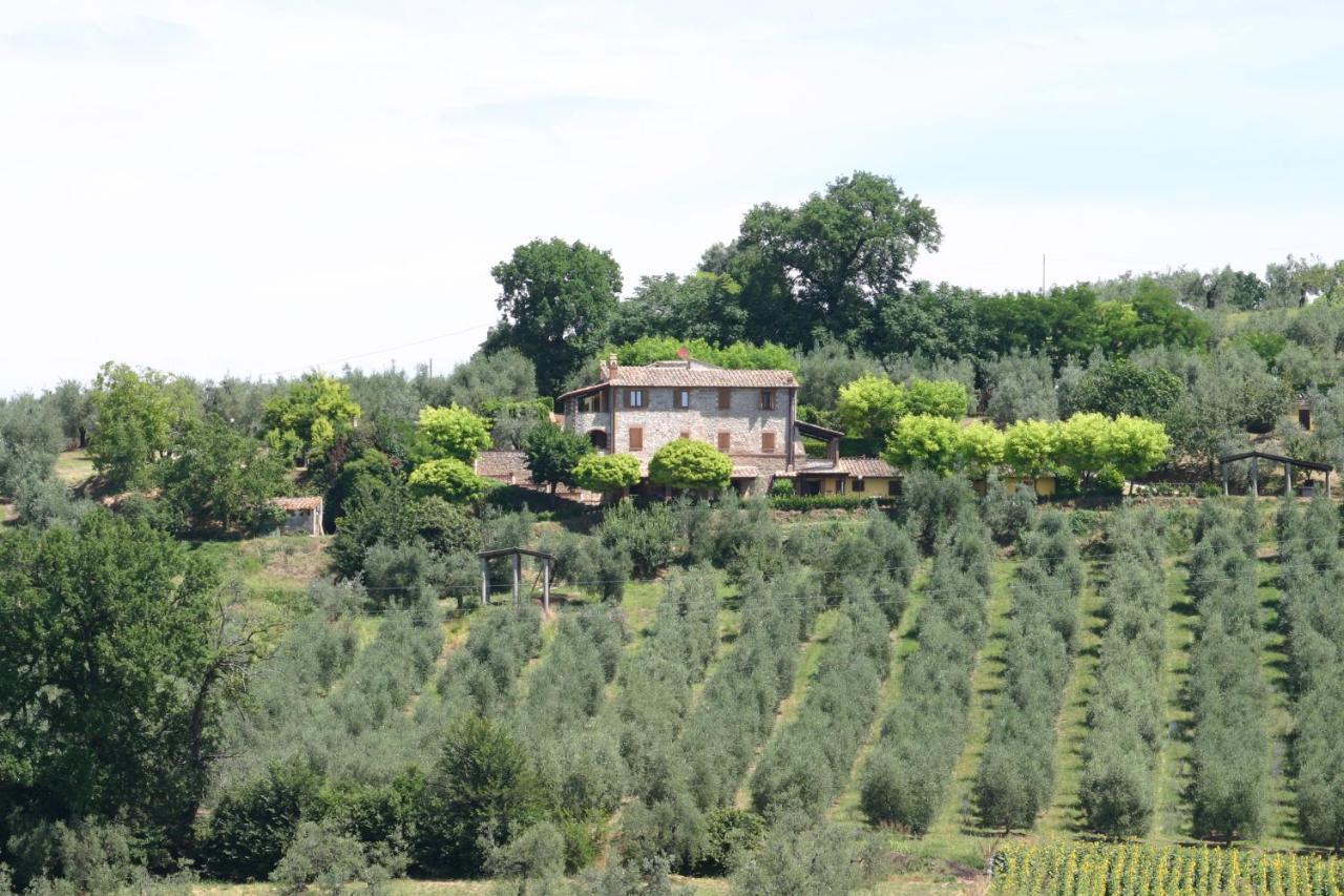 Agriturismo Oliveto di Geltrude Contessa Amelia Exterior foto