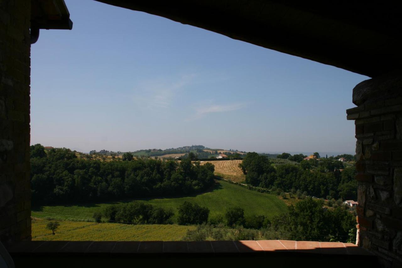 Agriturismo Oliveto di Geltrude Contessa Amelia Exterior foto